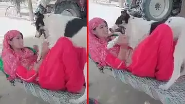 Pakistani Girl Dog Porn | Sex Pictures Pass