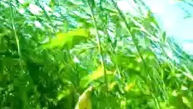 जोड़ी हिंदी में वन