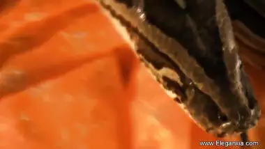 बॉलीवुड बफ विडियो कॉम के साथ अश्लील प्रदर्शन पर